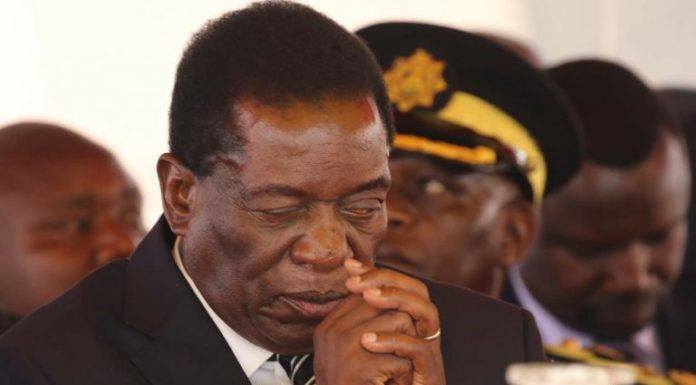 Jittery Mnangagwa Clears Streets Ahead Of Planned Protests Zimbabwe Observer 